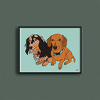 Kjæledyrportrett image 9