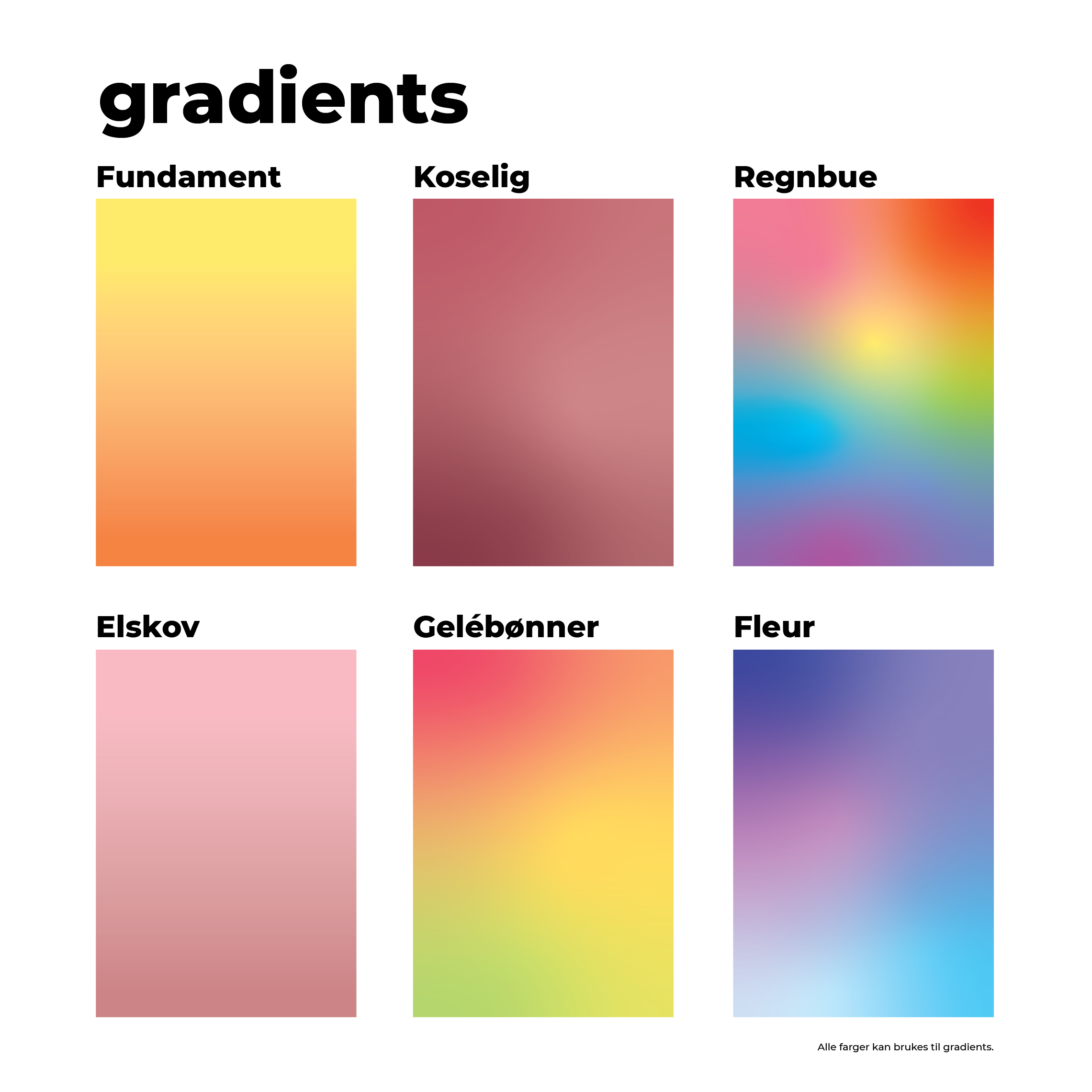 Kjæledyrportrett image 11