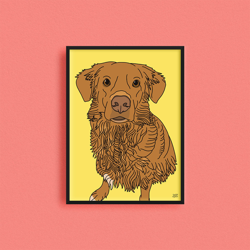 Kjæledyrportrett image 4