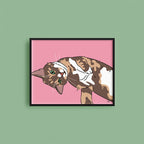 Kjæledyrportrett image 1