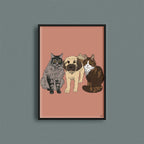 Kjæledyrportrett image 8