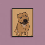 Kjæledyrportrett image 2