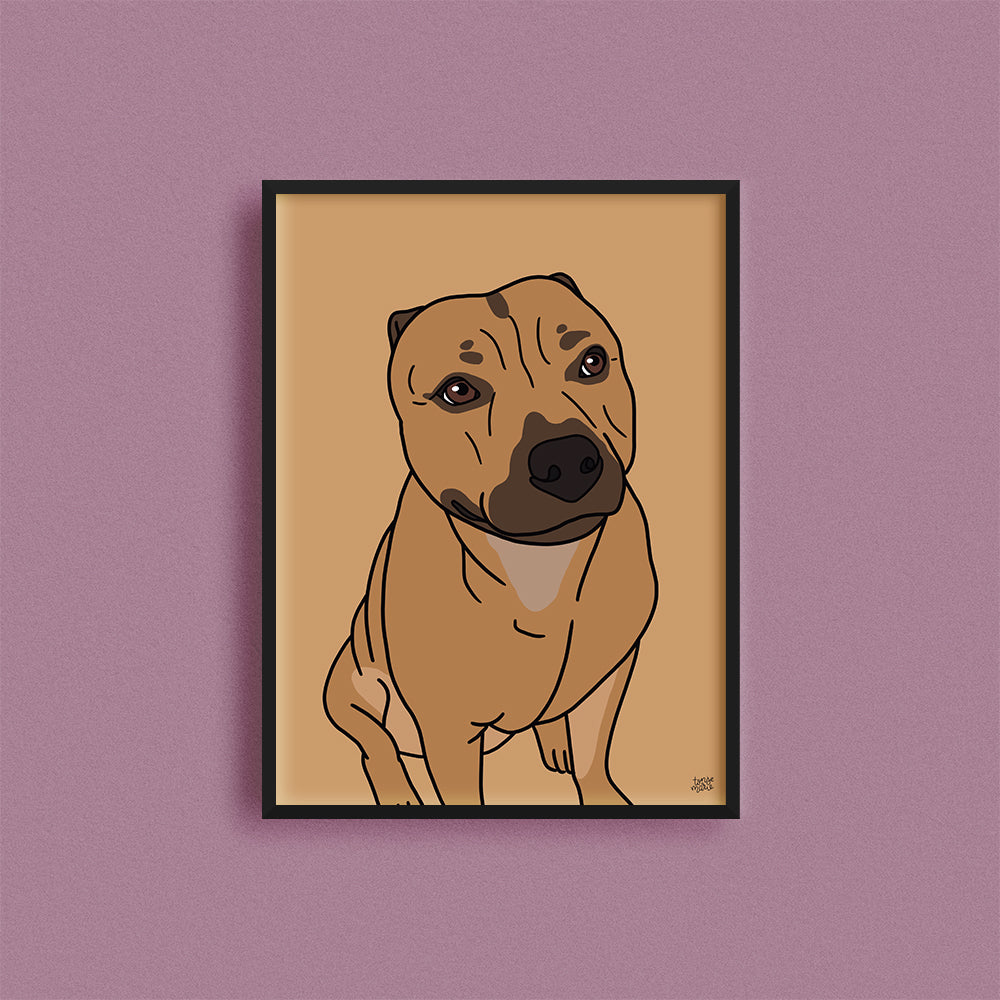 Kjæledyrportrett image 2