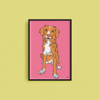 Kjæledyrportrett image 3