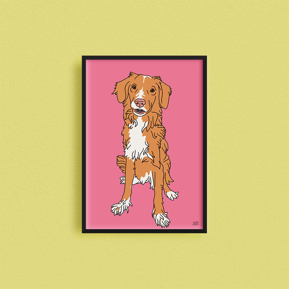 Kjæledyrportrett image 3