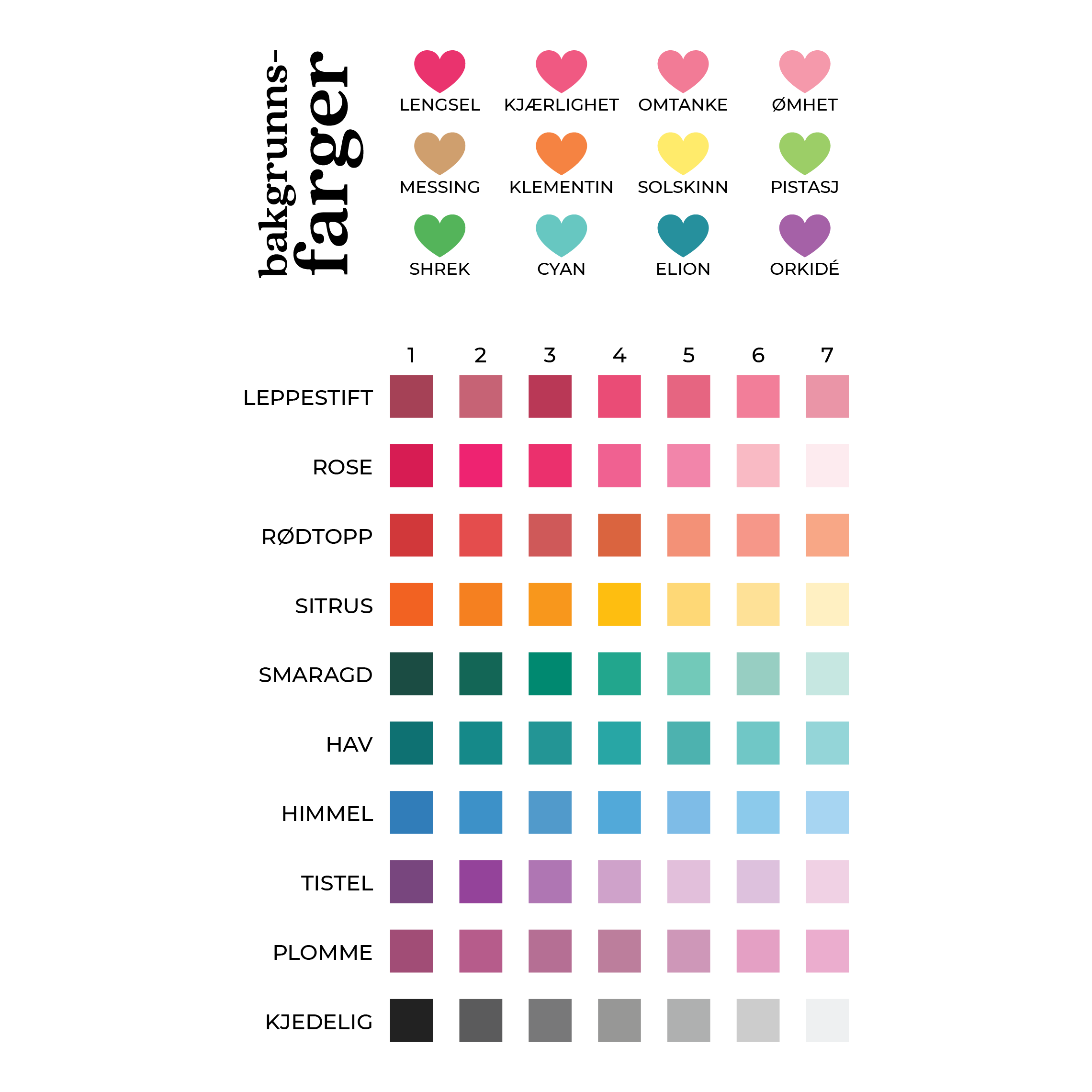 Kjæledyrportrett image 12