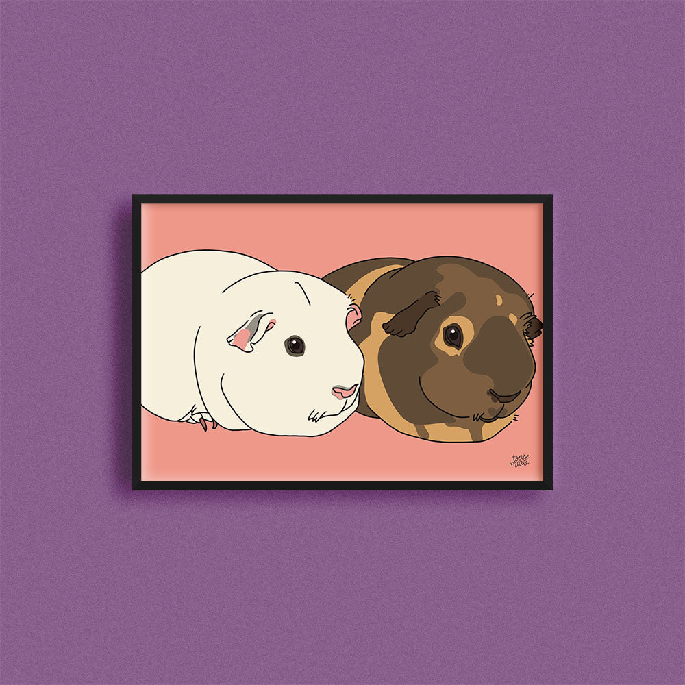 Kjæledyrportrett image 5