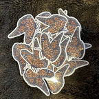 Leopard-sommerfugl image 2