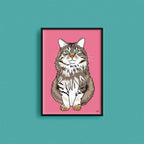 Kjæledyrportrett image 6