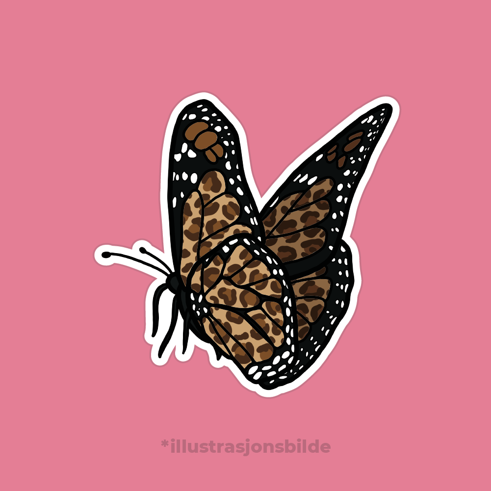 Leopard-sommerfugl image 0